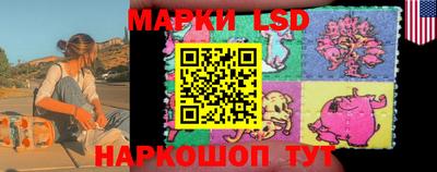 гашик Донской