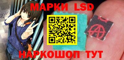 гашик Донской