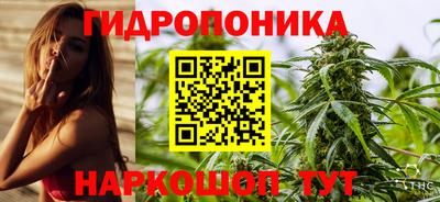 дмт Дубна