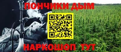дмт Дубна