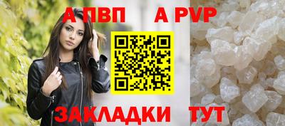 гашик Донской