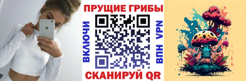 mega как войти  Городец  Галлюциногенные грибы GOLDEN TEACHER  где можно купить наркотик 