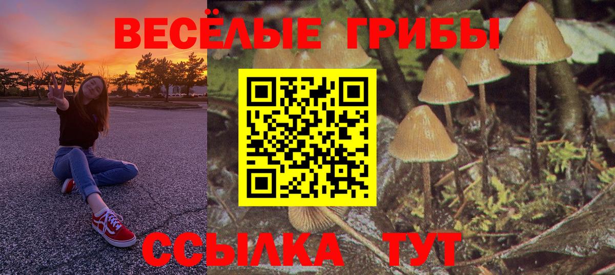 что такое   Вход с VPN  Городец  Галлюциногенные грибы Magic Shrooms 