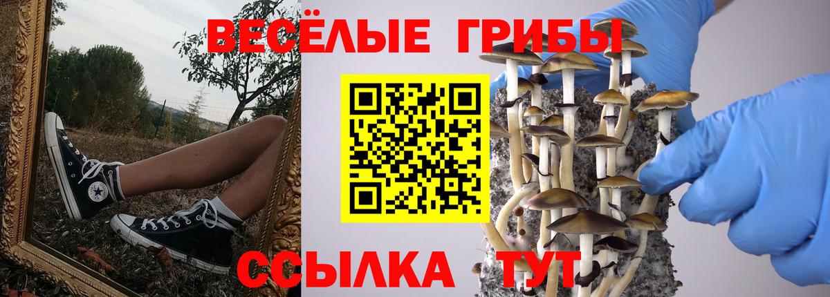 Псилоцибиновые грибы мухоморы Городец
